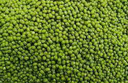 Green Moong