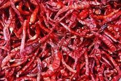 Low Price Dried Red Chilli