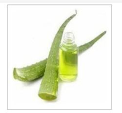 Low Price Aloe Vera Shampoo