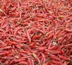 Bih Juri Dry Red Chilli