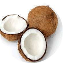 High Nutrition Value Fresh Coconut