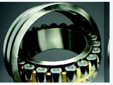 Robust Design Industrial Bearings