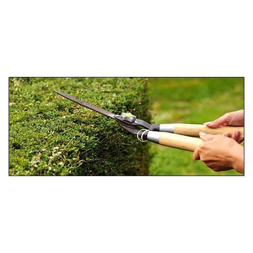 garden maintenance services