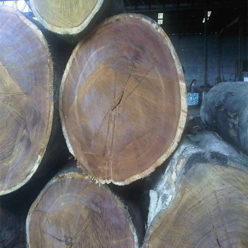 Australian Honne Wood Logs