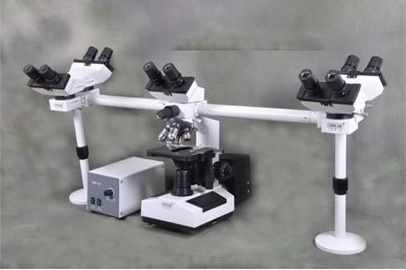 Penta Head Microscope