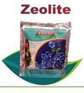 Zeolite Anti Fungal