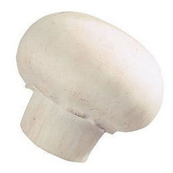 Fresh Mushroom - Fresh and Nutritious | Supports Immune System, Aids in Weight Loss, Reduces Cholesterol and Cancer Risks