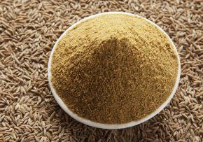 Cumin Powder