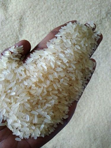 IR 64 Rice