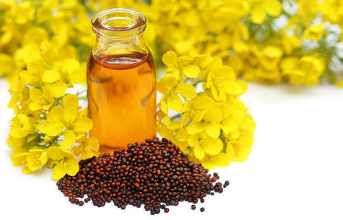 Mustard Seed Oil