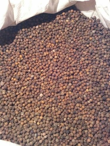 White Sandalwood Seeds