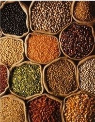 Organic Pulses