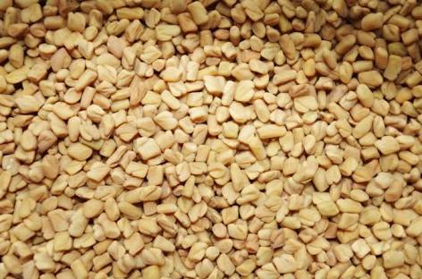 Fenugreek Seed