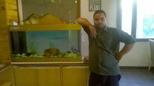 Fancy Fish Aquarium