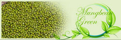 Fresh Green Mung Bean