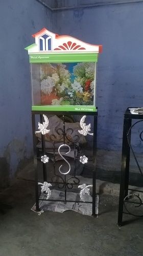 Mini Aquarium - Tall Design for Vertical Swimming, Exquisitely Crafted with Natural Plant Aesthetics