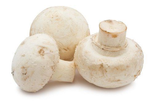 Fresh Organic Canned Mushroom