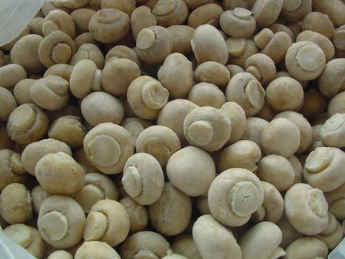 Natural Organic Button Mushroom