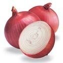 Organic Fresh Red Onion