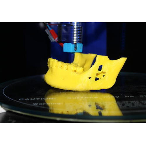 3D Jaw Printing Service