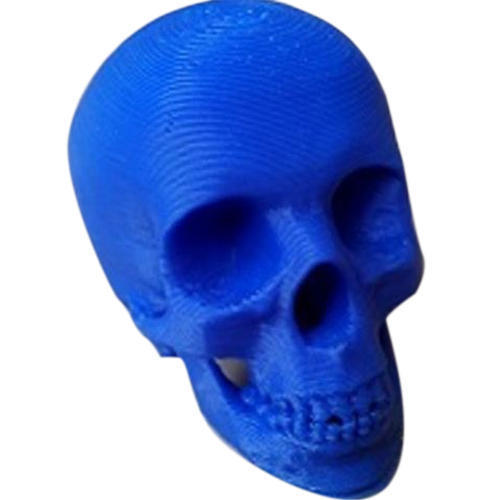 3D Skull Model Printing Service Application: For Hospital And Clinical Purpose