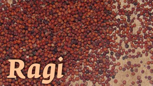 Best Quality Ragi