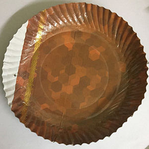 Disposable Paper Plate - Thicker Variety, Custom Sizes & Shapes Available