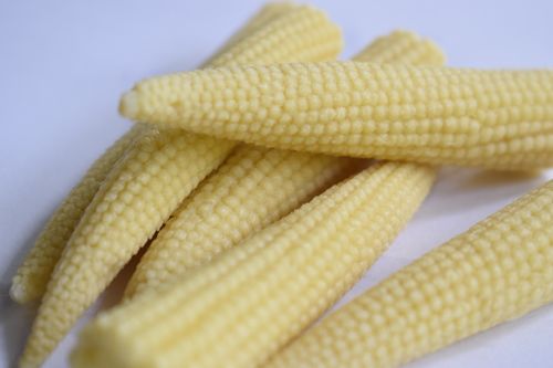 Preserved Baby Corn In Acetic Acid