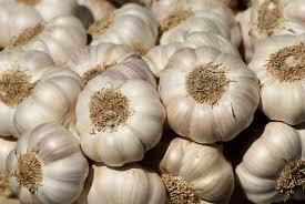 Good Quality Garlics