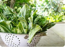 Organic Fresh Leafy Vegetables