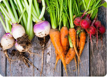 Organic Fresh Root Vegetables