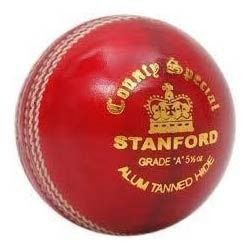 SF Bouncer Cricket Ball