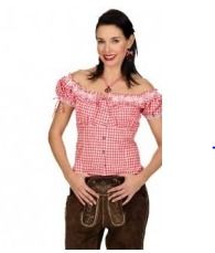 Ladies Check Design Blouse