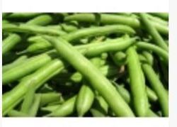 Fresh Green French Beans