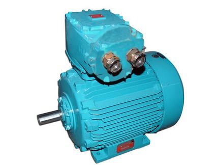 Flame Proof Painted Finish Iron Electrical High-Pressure Ac Motors