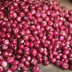 Fresh Red Onion - Medium Size, Purplish Red Skin with Mild to Sweet Flavor