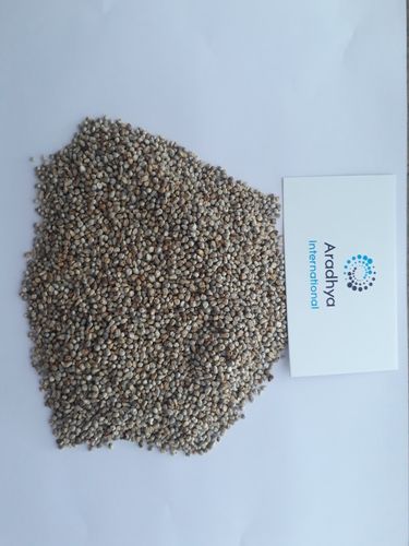 Green Millet (Machine Clean)