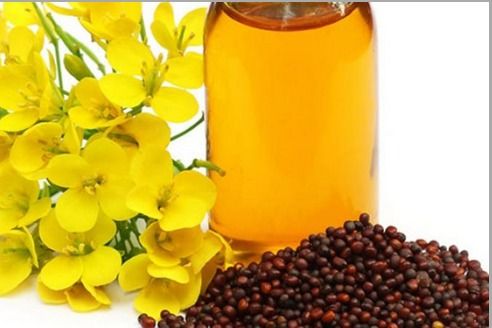 High Quality Yellow Mustard Oil