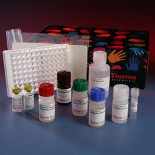 Interleukin Elisa Kit