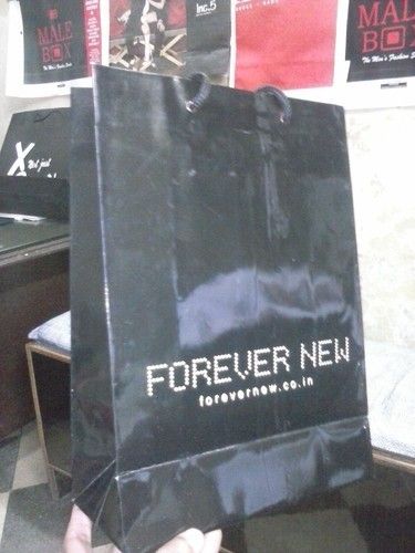 Promotional Laminated Paper Bags