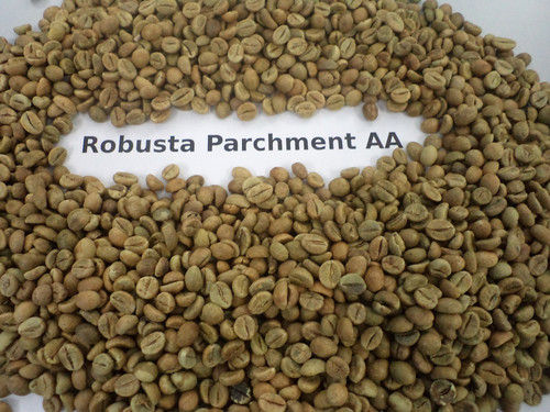 Robusta Green Coffee Beans Parch AA