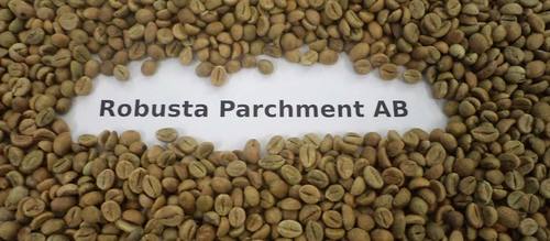 Robusta Green Coffee Beans Parch Ab