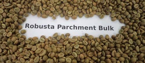 Robusta Green Coffee Beans Parch Bulk