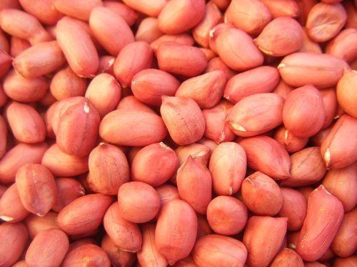 Supreme Quality Red Peanut
