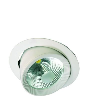 LED Cob Swing Light