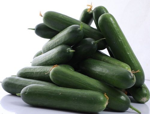 Fresh Green Nutrients Cucumber