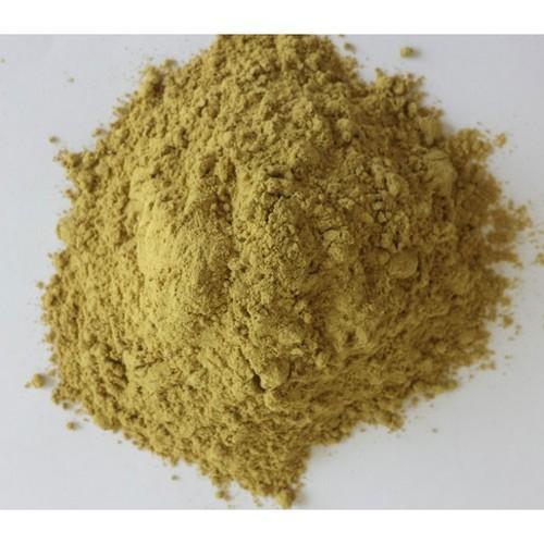 High Quality Shatavari Extract