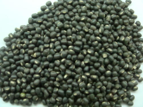 Black Urad Saboot Dal