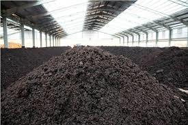 Bio Fertilizer Compost