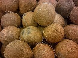 Brown Free From Impurities Fresh Coconut